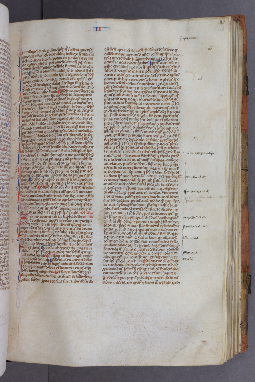Folio 48 recto